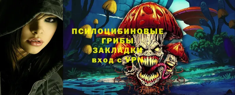 Галлюциногенные грибы MAGIC MUSHROOMS  Володарск 